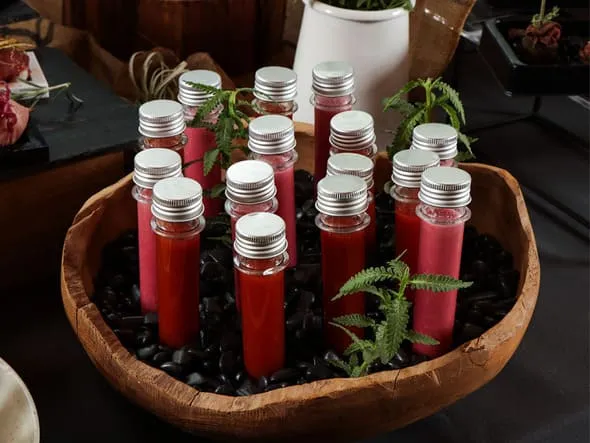 フォトギャラリー-02