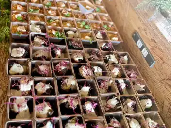 ケータリング事例写真-14