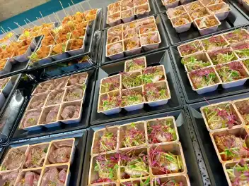 ケータリング事例写真-21