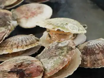 ケータリング事例写真-41